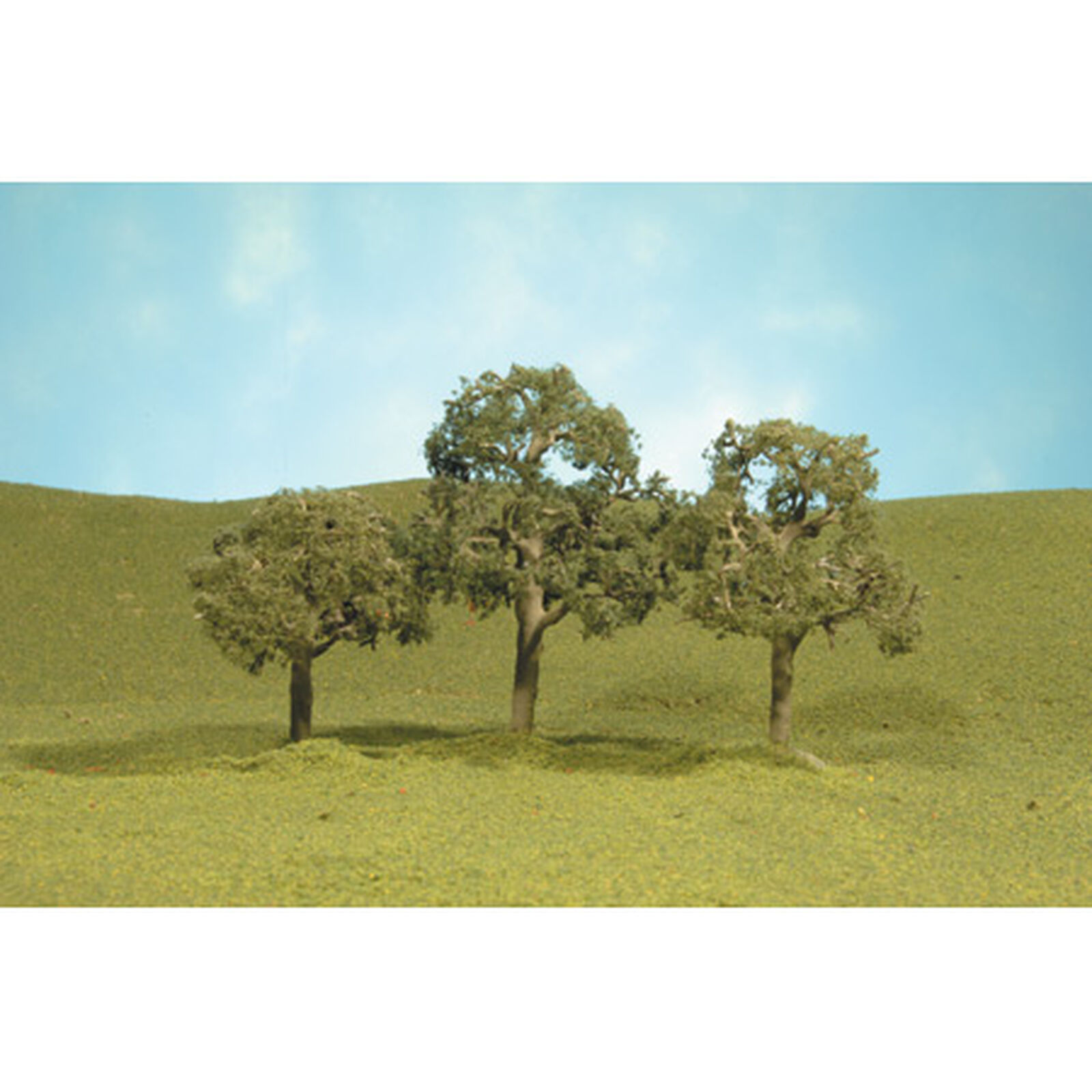 Scenescapes Walnut Trees, 2.5-3.5" (3)