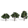 Classics Tree, Cool Shade 4-5" (3)