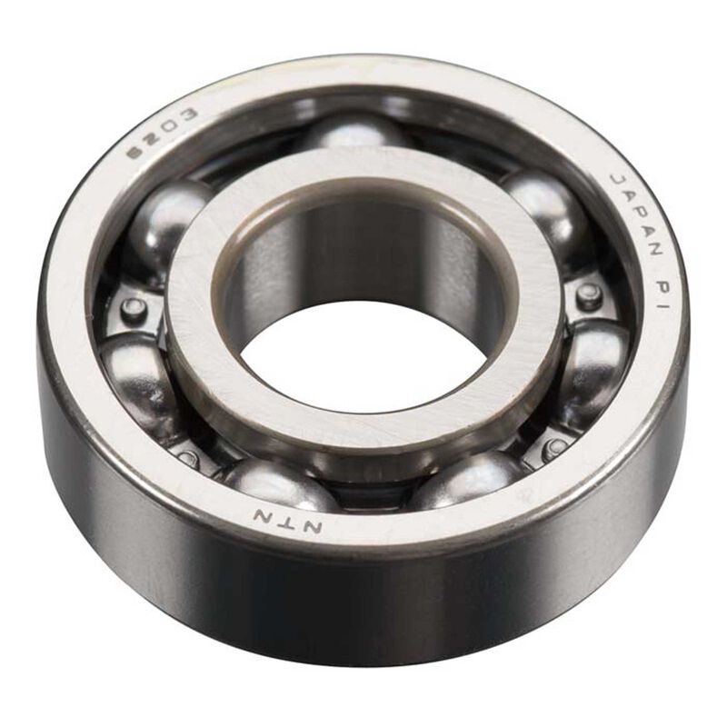 Rear Bearing: GT60
