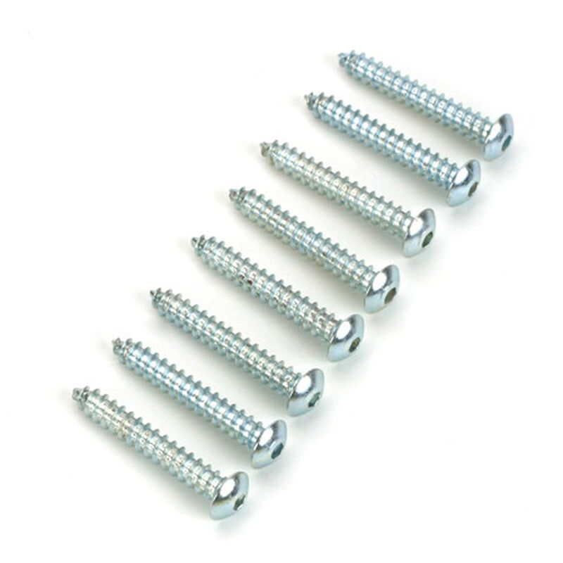 Button Head Screws, 4 x 3/4" (8)