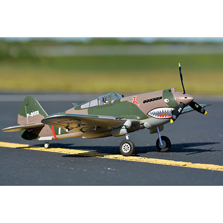 FMS P-40B Flying Tiger 980mm PNP with Reflex | Tower Hobbies