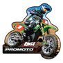 Losi Promoto Sticker