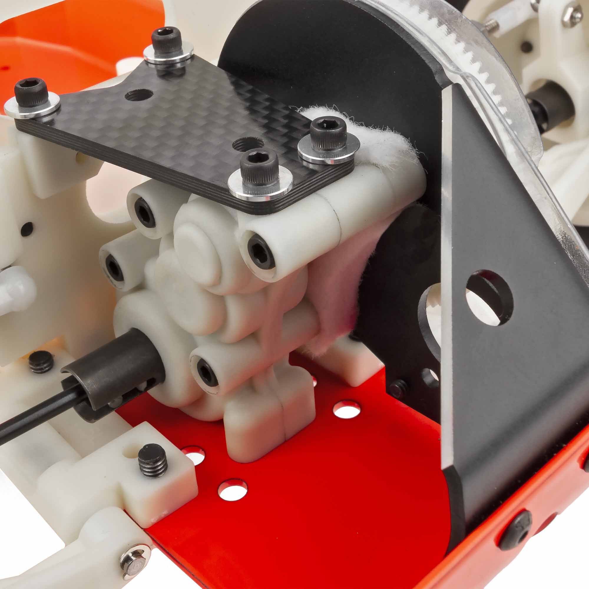 Team Associated 1/10 RC10T 2WD Stadium Truck Kit, Cliff Lett Team