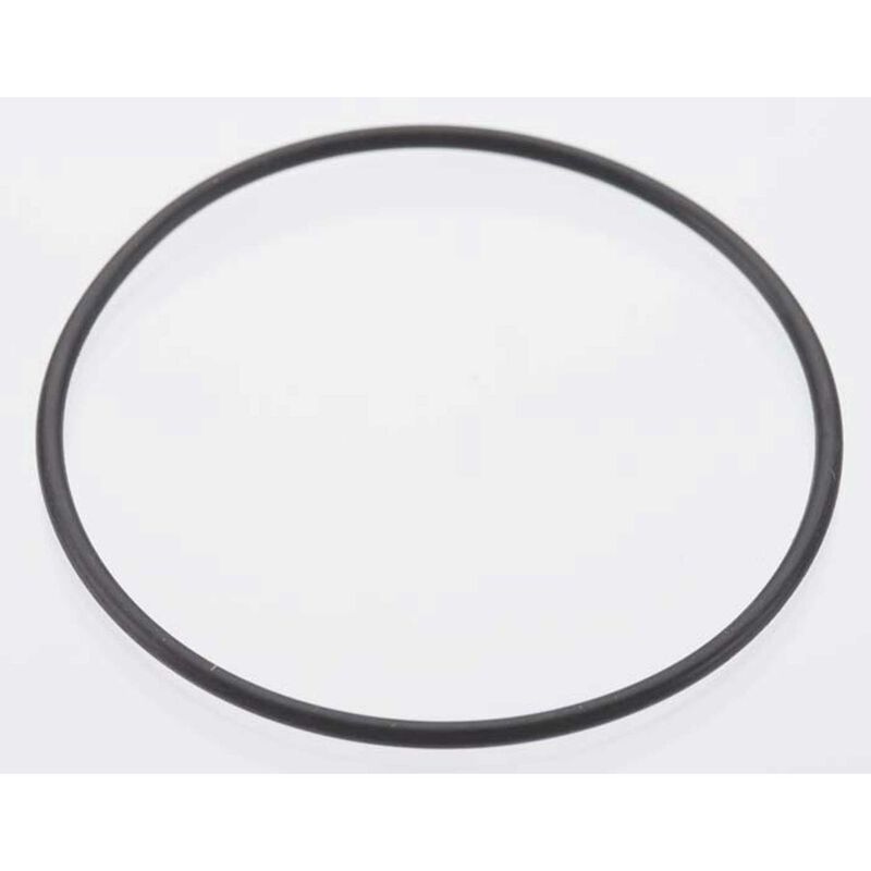 Back Plate O-Ring: DLE-20