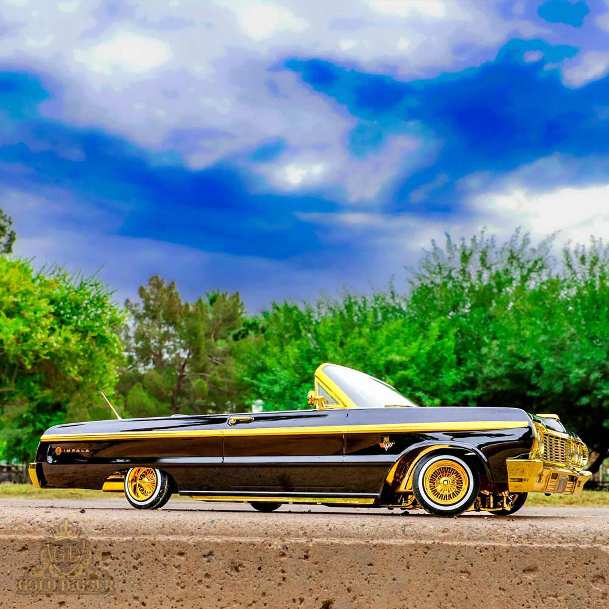 Redcat Racing 1/10 Special Edition Gold Digger SixtyFour Chevrolet