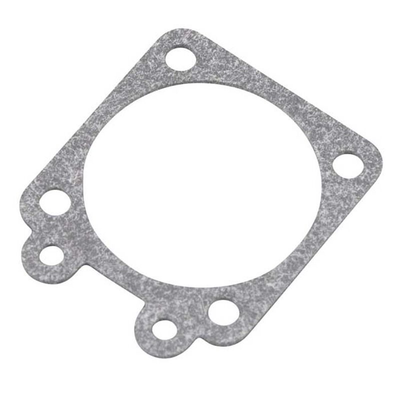 Gasket Metering Diaphragm WLA-2: GT55