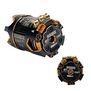 Certified Double Down 17.5T Outlaw Brushless Motor with TEP1149 Rotor