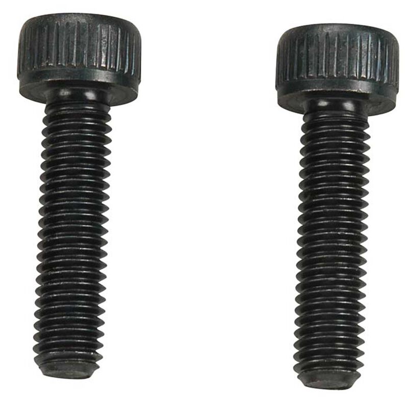 Muffler Screws #5010 (2)