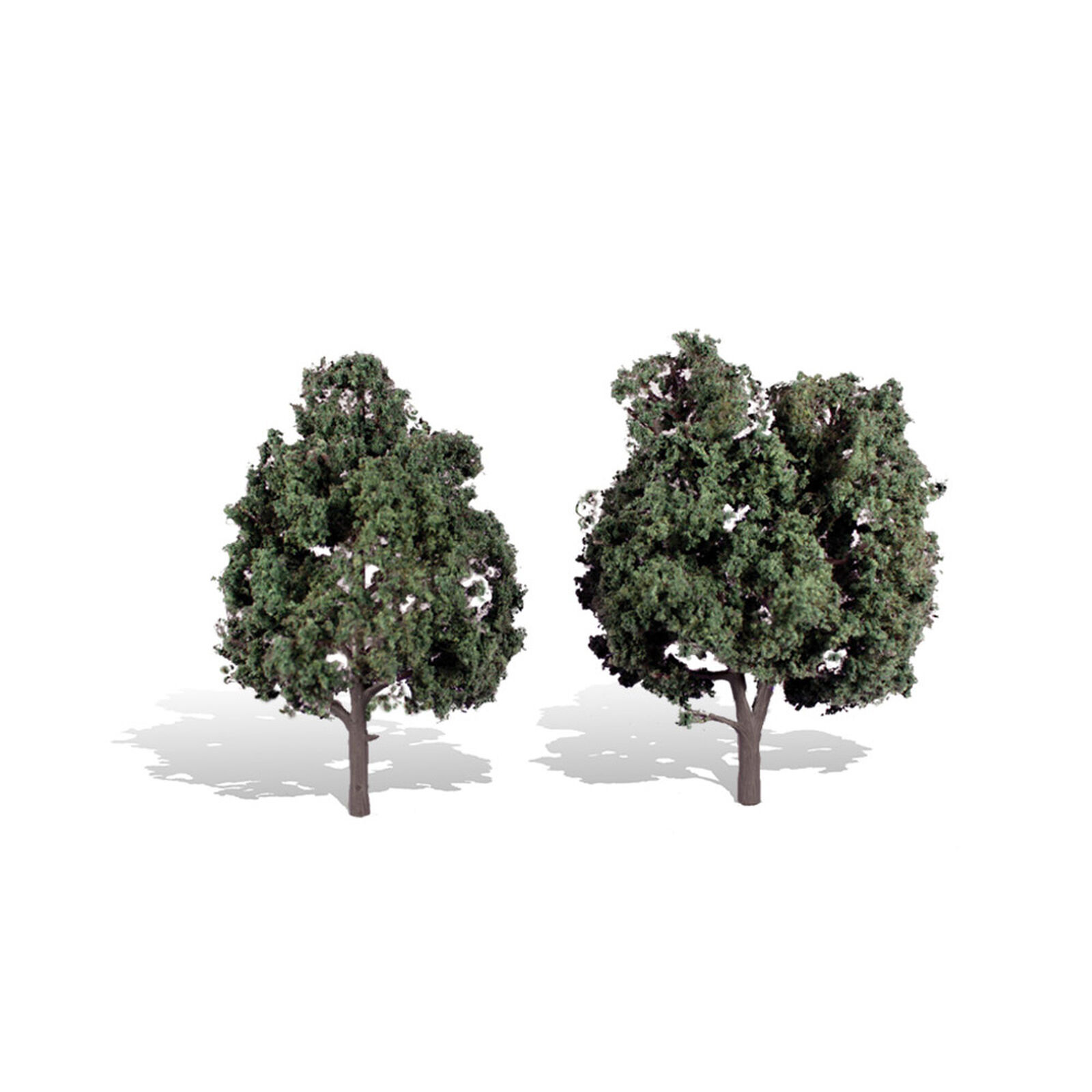 Classics Tree, Cool Shade 5-6" (2)