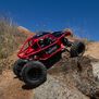 1/10 Capra 1.9 4WS 4X4 Unlimited Trail Buggy RTR