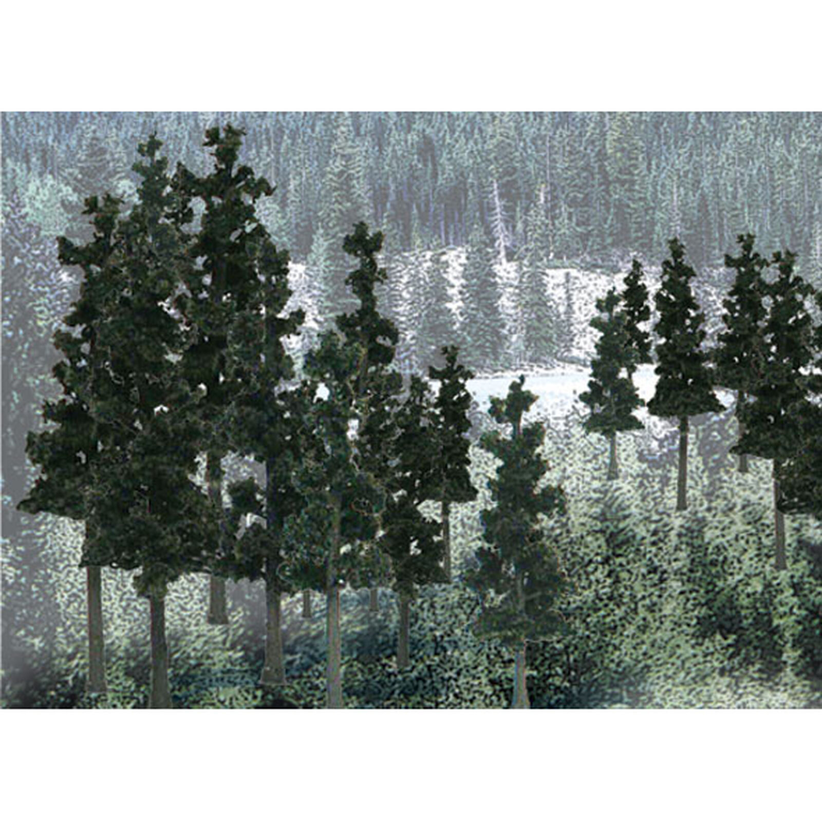 Value Trees, Conifer 2.25-4" (33)