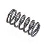 Valve Spring: FS-26S-C