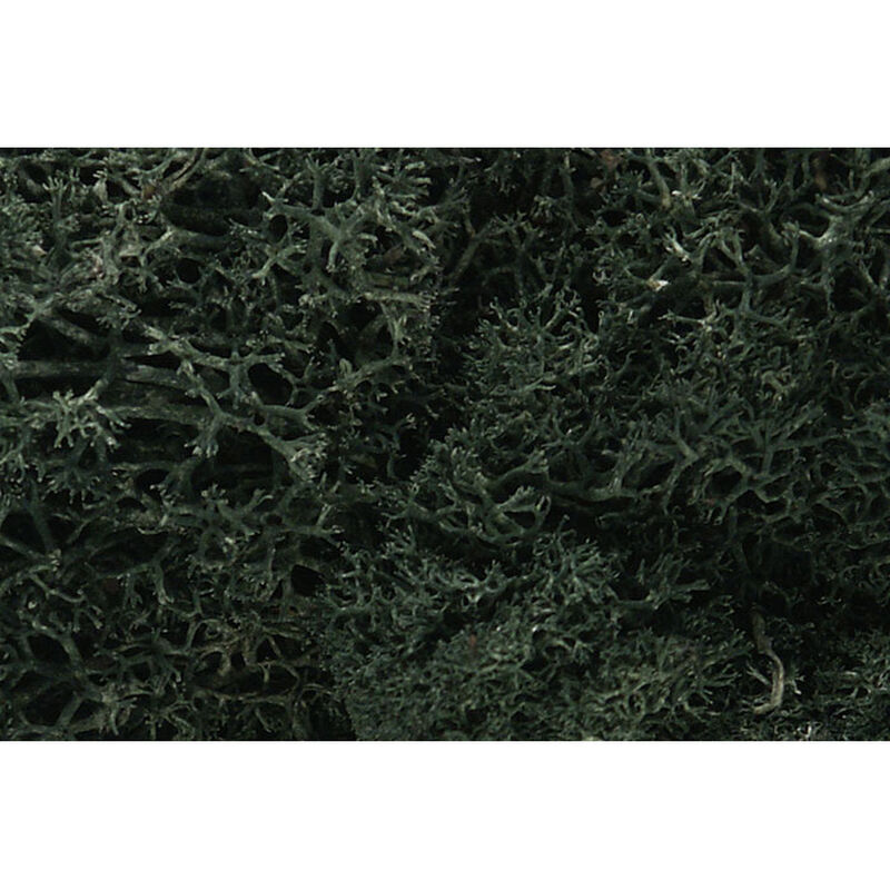 Lichen Bag, Dark Green/82 cu. in.