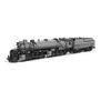 Union Pacific 2-8-8-0 "Bullmoose", SA-C-2, #3510, Post-1944 Appearance w/ 5SA FWH, TTG Fantasy Paint, Paragon4 Sound/DC/DCC, Smoke, HO
