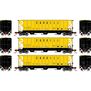 N PS 4427 Covered Hopper, TLDX (3)