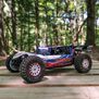 1/10 Tenacity DB Pro 4WD Desert Buggy Brushless RTR with Smart