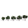 Classics Tree, Cool Shade 1.25-2" (5)