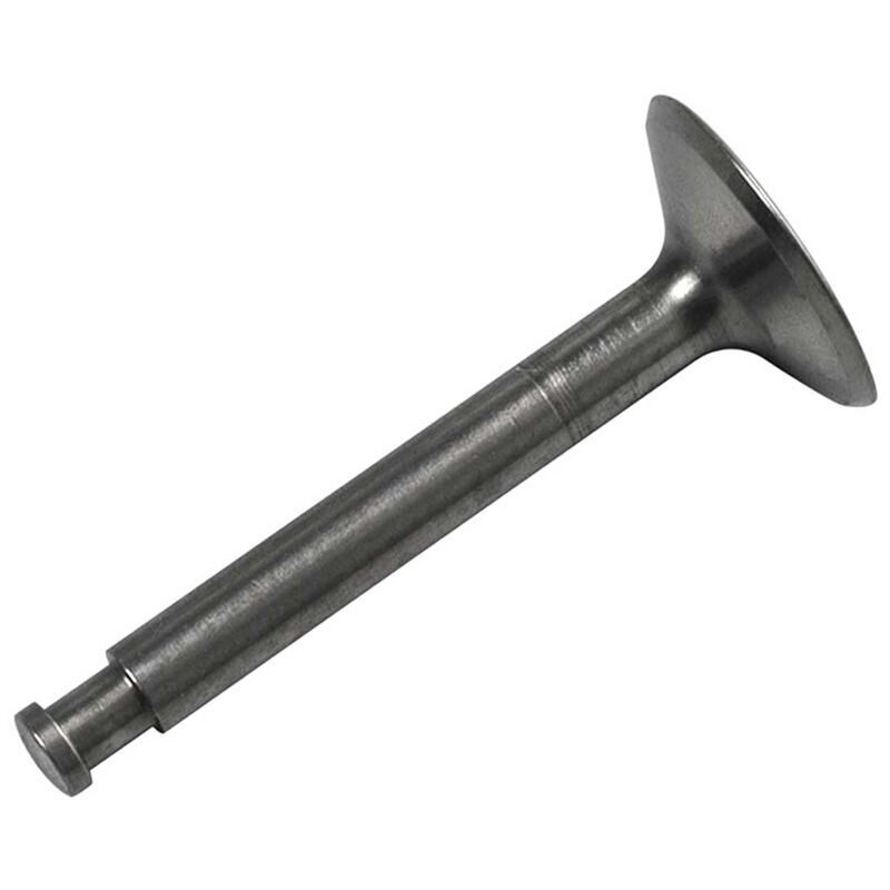 Valve Intake: FS-91 Surpass