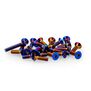 B6.4 Titanium Screw Set, Lower Blue, (26)