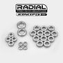 Radial Nmb Bearing Set: Hb D819Rs, D8T Evo 3