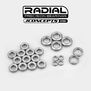 Radial Nmb Bearing Set: Hb E819Rs