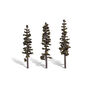 Classic Trees, Standing Timber 7-8" (3)