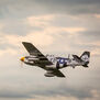 P-51D Mustang 20cc ARF, 69.5"