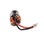 Firma 35T Rebuildable 550 3-Pole Brushed Motor