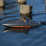 River Jet Boat 23" Brushless Self-Righting Deep-V RTR