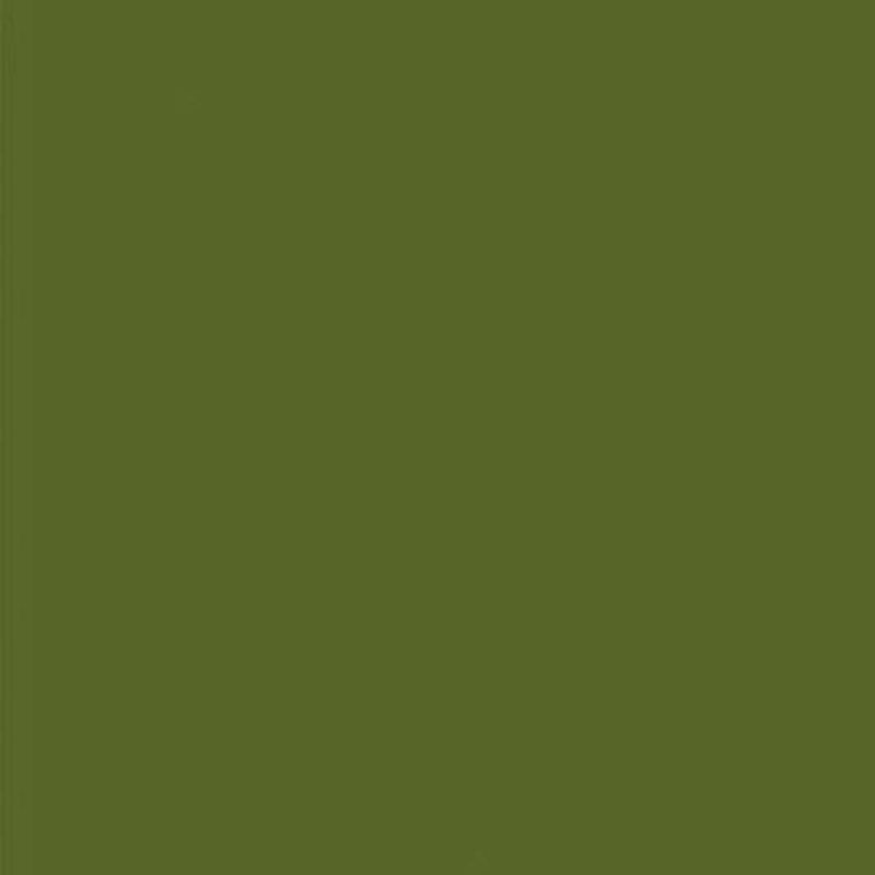 Olivegrun  RAL 6003