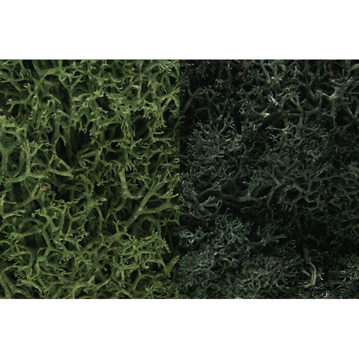 Woodland Scenics Dark Green Lichen Mix - 3 Quarts (WOOL168) For Model Railroads & Dioramas