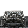 TENACITY Desert Buggy AVC  1 10 4WD RTR