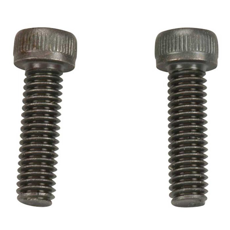 Muffler Screws #743 (2)
