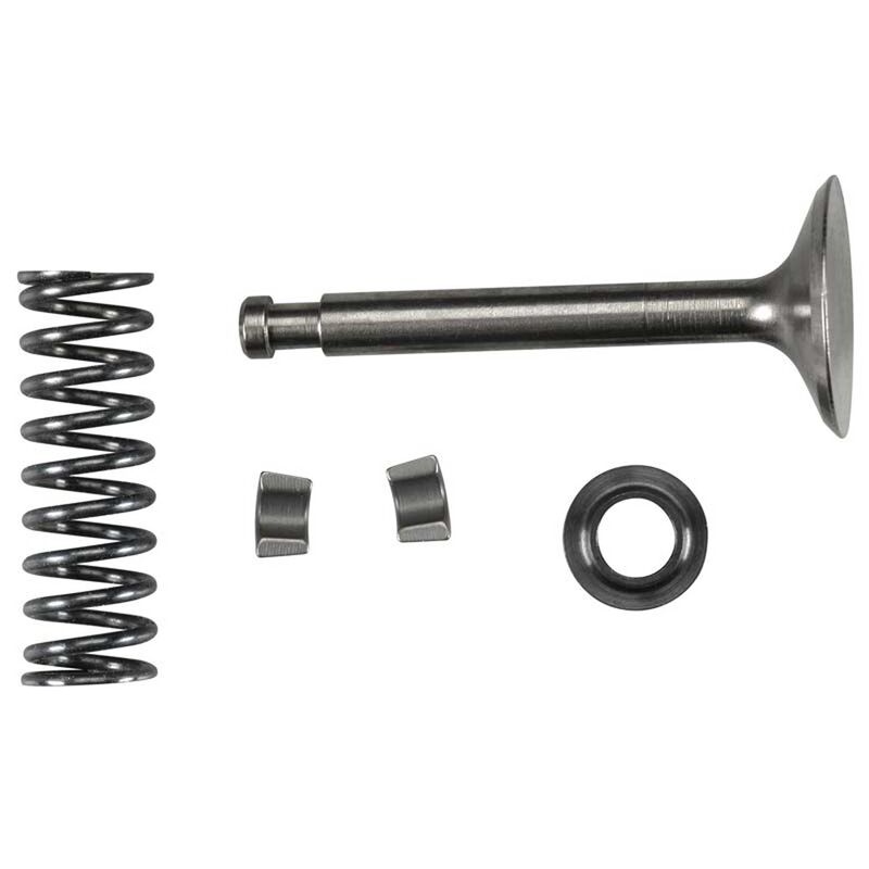 Valve Assembly Intake: FS-120 Surpass