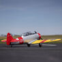 SNJ-5/AT-6 Texan 1.5m BNF Basic with AS3X+ and SAFE Select