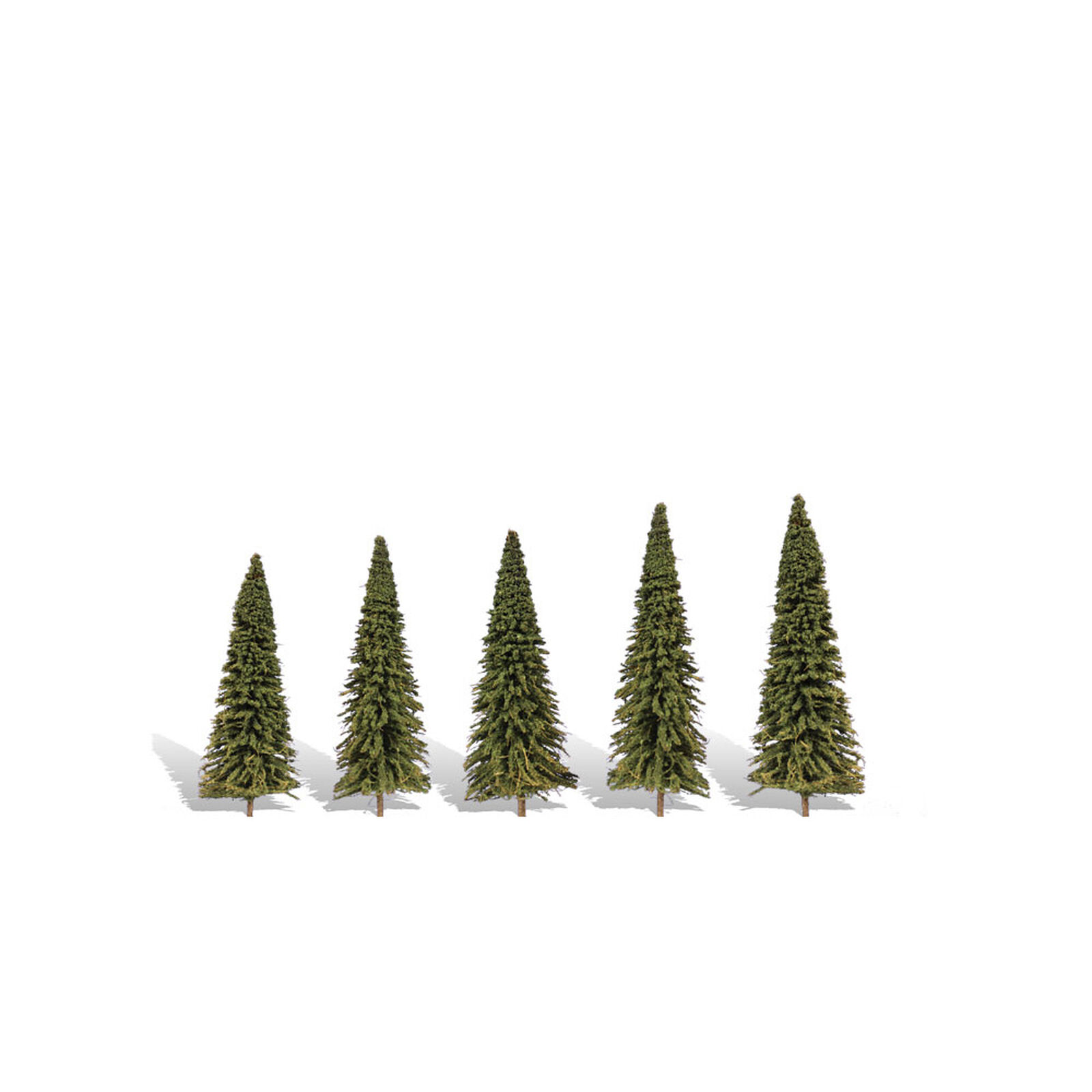 Classics Tree, Forever Green 2.5-4" (5)