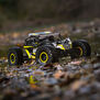 1/10 Rock Rey 4WD Brushless RTR with AVC