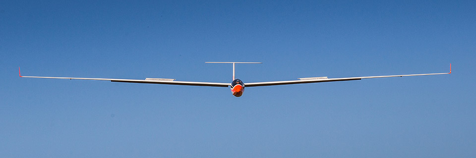 Hanger 9 Elite Series ASH 31 6.4m ARF