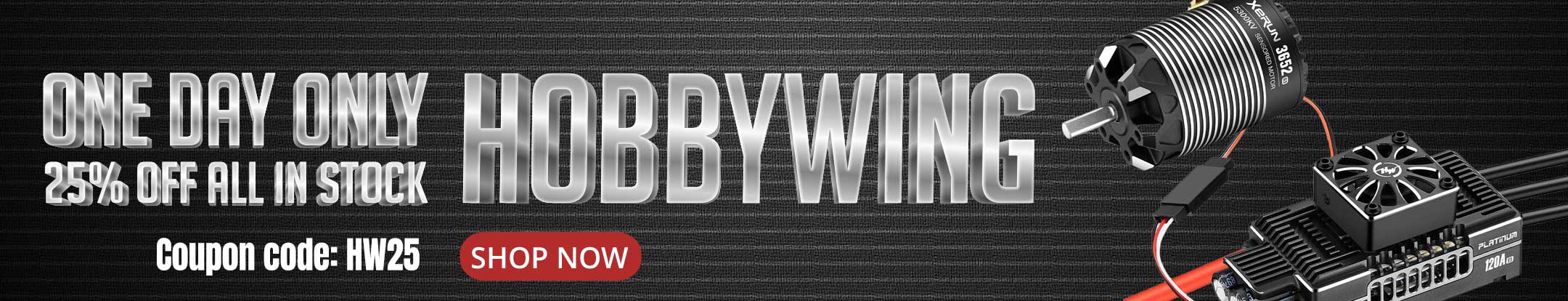 Hobbywing 25 Precent Off - One Day Only